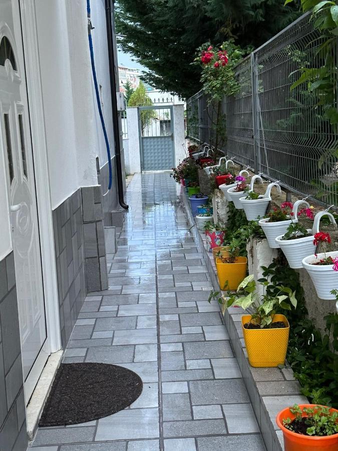 Villa Likaj ベラト エクステリア 写真