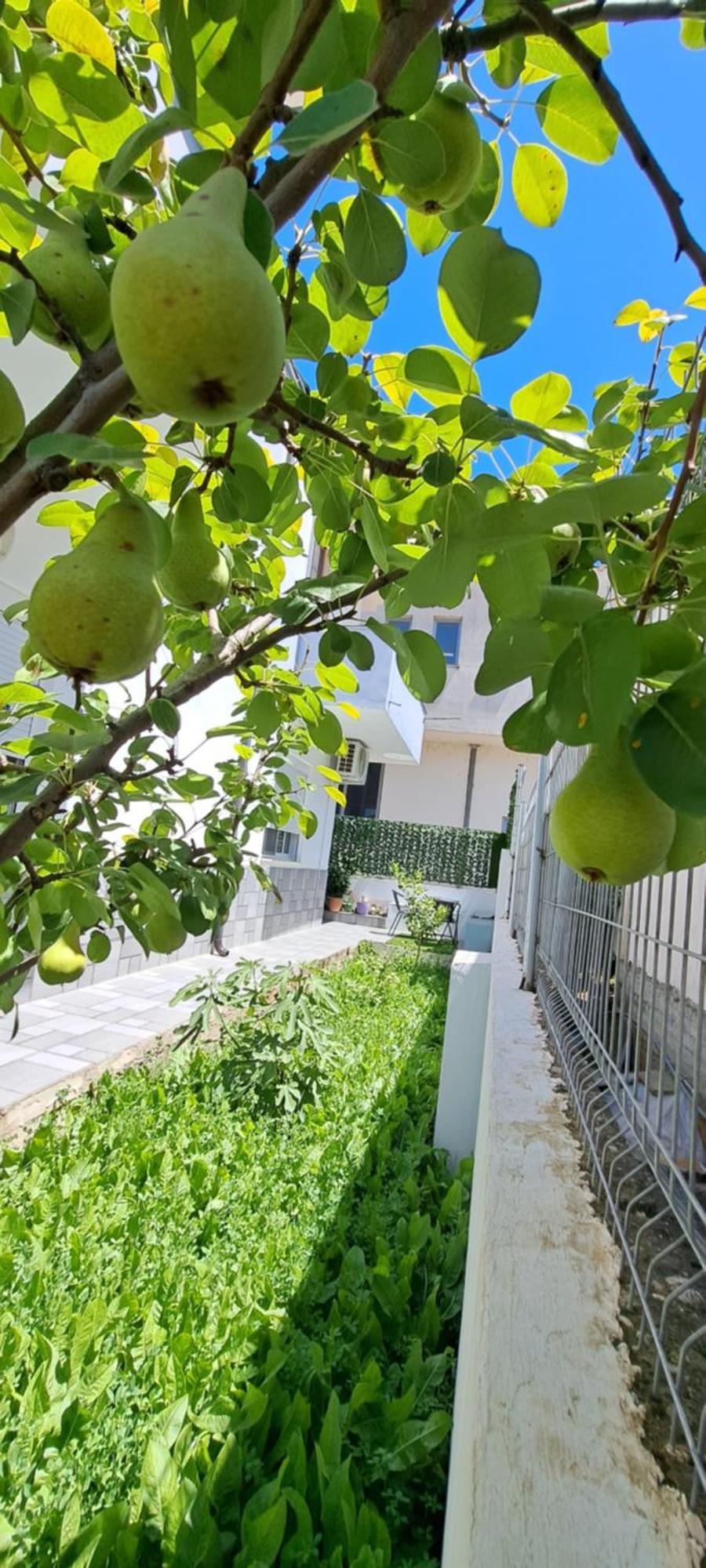 Villa Likaj ベラト 部屋 写真